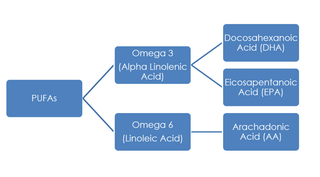 PUFAs and other fats