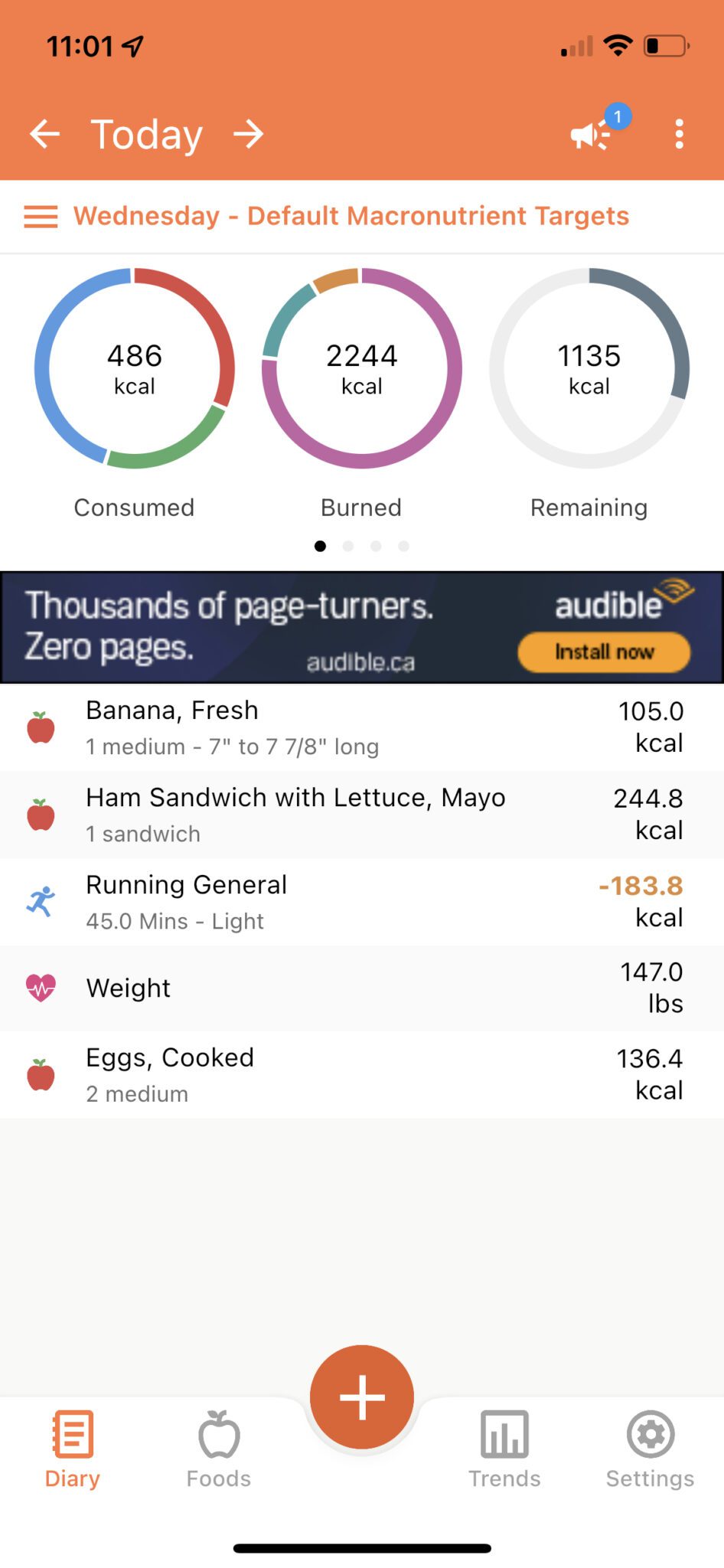 Track your daily food intake in your diary.