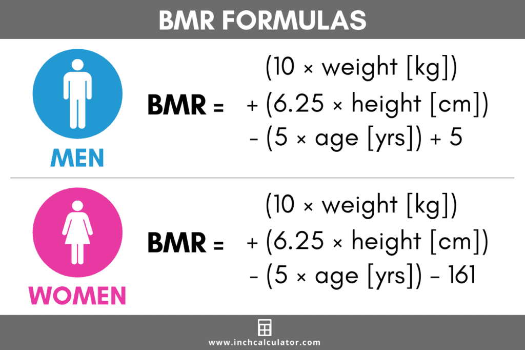Breaking Down Basal Metabolic Rate BMR Cronometer Blog