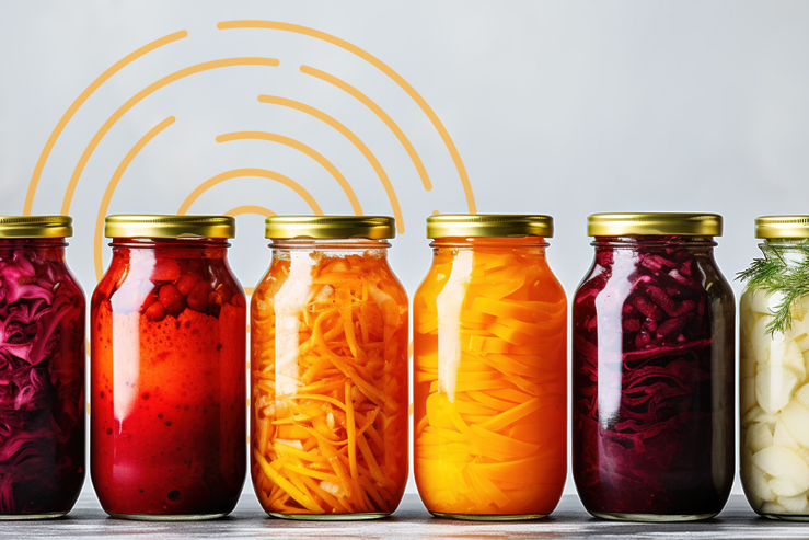 Fermented Foods and Gut Health